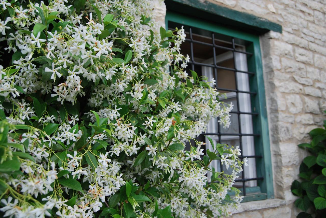 Tritoxo Guesthouse Koukkoúlion Esterno foto
